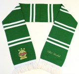 Fular fotbal - RAPID VIENA (Austria)