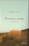 Drumuri, orase