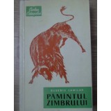 PAMANTUL ZIMBRULUI. SCHITE SI POVESTIRI-EUSEBIU CAMILAR-126802