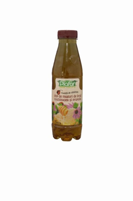 SIROP MG.BRAD,ECHIN &amp;PROPOLIS 500ML