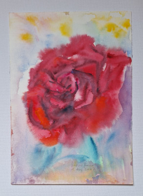 Pictura in acuarela neinramata - trandafir rosu inflorit, semnat 2007 17x24 cm foto