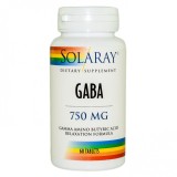 GABA 60 tb SECOM, SECOM HEALTHCARE