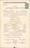 A1856 Certificat școlar, 1918, T&acirc;rgu Mureș