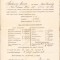 A1856 Certificat școlar, 1918, T&acirc;rgu Mureș