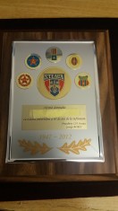 D13 8 - Placheta - tematica sport - Clunul sportiv Steaua Bucuresti - 2012