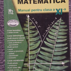 Manual Matematica clasa XI, Petre Nachila, M2, 2002, 208 pagini