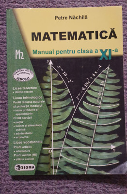 Manual Matematica clasa XI, Petre Nachila, M2, 2002, 208 pagini foto