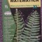 Manual Matematica clasa XI, Petre Nachila, M2, 2002, 208 pagini