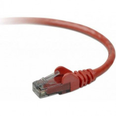 Patchcord Belkin UTP Cat 6 0.5m Red foto