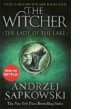 The Lady of the Lake : Witcher 7 - Andrzej Sapkowski