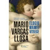 Elogiu mamei vitrege