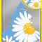 ODORIZANT AUTO BRADUT WUNDER-BAUM DAISY CHAIN
