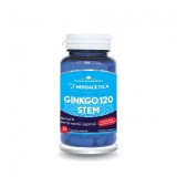 Ginkgo 120 stem 30cps vegetale, Herbagetica