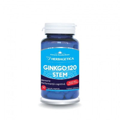 GINKGO 120 STEM 30CPS VEGETALE foto