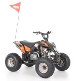 Atv Pe Benzina , 7.2Cp, Motor In 4 Timpi, Roti 8", Hecht 54125 Black