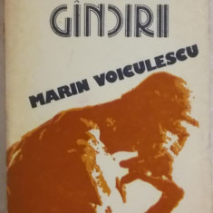 Marin Voiculescu - Ragazul gandirii / gindirii (aforisme, cugetari, dialoguri)