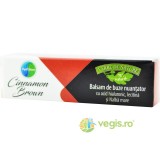 Balsam de Buze Nuantator cu Acid Hialuronic Cinnamon Brown 4.8g