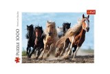 Puzzle 1000 piese &bdquo;Cai la galop&rdquo;