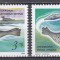 Feroe 1992 - Foci, MNH
