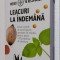 LEACURI LA INDEMANA - DR. STEPHEN AMIEL , CARTEA ESTE CA NOUA .