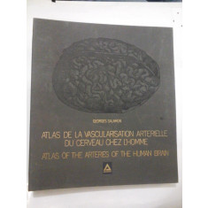 ATLAS DE VASCULARISATION ARTERIELLE DU CERVEAU CHEZ L&#039;HOMME - ATLAS OF THE ARTERIES OF THE-HUMAN-BRAIN - G. SALAMON (franceza si engleza)