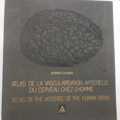 ATLAS DE VASCULARISATION ARTERIELLE DU CERVEAU CHEZ L'HOMME - ATLAS OF THE ARTERIES OF THE-HUMAN-BRAIN - G. SALAMON (franceza si engleza)