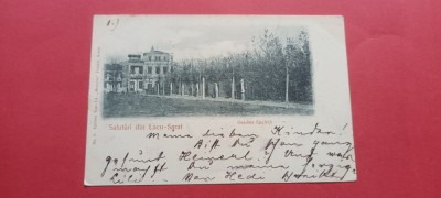 Braila Salutari din Lacu Sarat Gradina Engleza foto