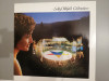 Sally Oldfield – Celebration (1980/Ariola/RFG) - Vinil/Vinyl/ Nou (M-), Pop