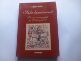 ZOLTAN ROSTAS - SALA LUMINOASĂ - PRIMII MONOGRAFIȘTI AI ȘCOLII GUSTIENE
