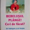 Bebelusul plange! Ce-i de facut? Sa-l intelegem si sa-l linistim &ndash; Anne Bacus