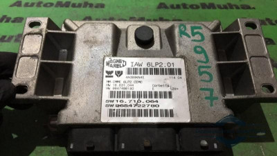 Calculator ecu Peugeot 307 (2001-2008) 16710064 foto