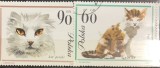 Timbre - Polonia Polska - >50 - Tematica Animale - Pisici