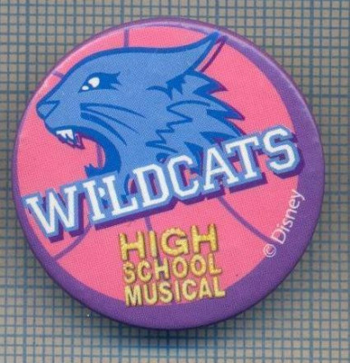 AX 619 INSIGNA -WILDCATS -HIGH SCOOL MUSICAL -DISNEY foto