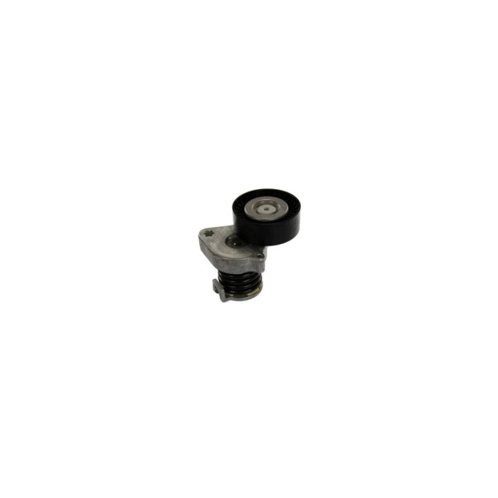 Intinzator curea MERCEDES-BENZ C-CLASS T-Model S204 DAYCO APV3013