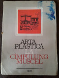 Arta plastica la C&acirc;mpulung Muscel