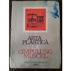 Arta plastica la C&acirc;mpulung Muscel