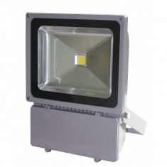 Proiector LED 100W Alb Rece 220V foto