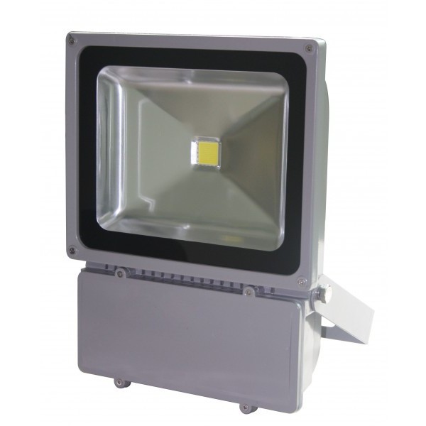 Proiector LED 100W Alb Rece 220V