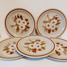 5 farfurii platou vintage Mountain Wood Collection Stoneware Dried Flowers Japan