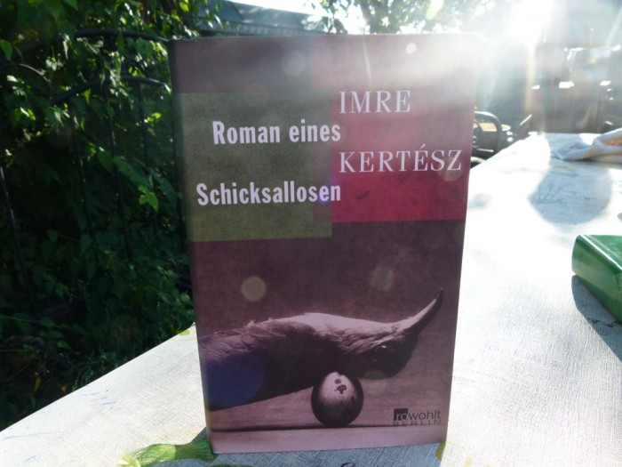 Roman eines Schicksallosen - Imre Kertez