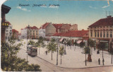 CP Timisoara Temesvar Piata Scudier ter ND(1914), Circulata, Fotografie