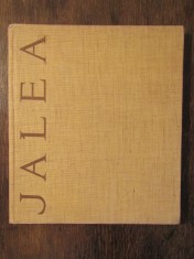 Ion Jalea - Petru Comarnescu