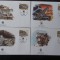 Kargistan-WWF,FDC leopardul zapezilor-set complet