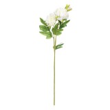 Fir floare alba decorativa artificiala,alb,plastic,65 cm, Oem