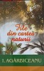 File din Carte Naturii - Ion Agarbiceanu, Cartex 2000, 2006, Romana, 253 pagini, Roman