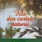 FILE DIN CARTEA NATURII-ION AGARBICEANU-249272
