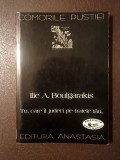 Ilie A. Boulgarakis - Tu, care &icirc;l judeci pe fratele tău... &Icirc;nvățături despre clevetire și judecată din cuv&acirc;ntul și practica Bătr&acirc;nilor Pustiei
