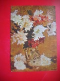 HOPCT 14917 CRIZANTEME -- STEFAN LUCHIAN [ 1868- 1916 ] -- CP PICTURA - -NECIRCULATA