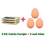 3 KG Calciu furajer vitaminizat + 3 ouă false de găină
