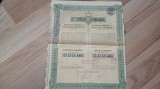 Actiune- Astra Rom&acirc;nă- Acțiune la purtător de 500 lei-1